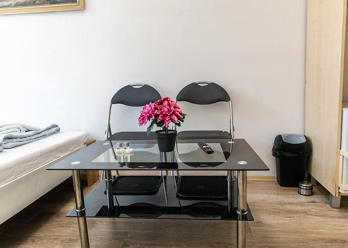 Comfortable Private Near Danube And Millennium Διαμέρισμα Βιέννη